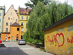 IMGP4995.jpg