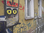 IMGP5009.jpg
