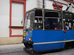 IMGP5010.jpg