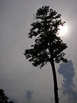 IMGP5046.jpg