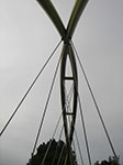 IMGP5049.jpg