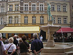 IMGP5055.jpg