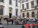 IMGP5060.jpg