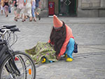 IMGP5068.jpg