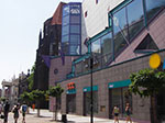 IMGP5081.jpg