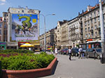 IMGP5090.jpg
