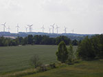 IMGP5097.jpg