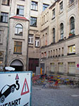 IMGP5118.jpg