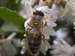 IMGP5168.jpg
