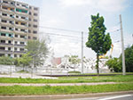 IMGP5178.jpg