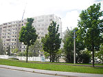 IMGP5183.jpg
