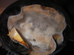 IMGP5219.jpg