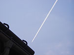 IMGP5228.jpg