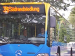 IMGP5253.jpg