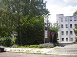 IMGP5255.jpg