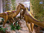 IMGP5294.jpg
