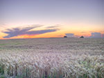 IMGP5309-hdr.jpg