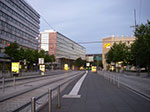 IMGP5364.jpg