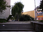 IMGP5369.jpg