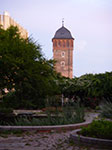 IMGP5371.jpg