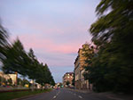 IMGP5379.jpg