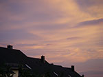 IMGP5407.jpg