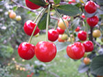 IMGP5437.jpg