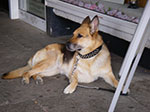 IMGP5448.jpg