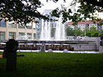 IMGP5450.jpg
