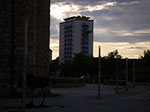IMGP5451.jpg
