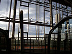 IMGP5454.jpg