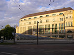 IMGP5460.jpg