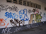 IMGP5462.jpg