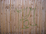 IMGP5464.jpg