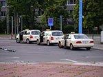 IMGP5465.jpg