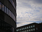 IMGP5466.jpg