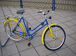 IMGP5467.jpg