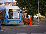 IMGP5469.jpg