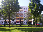 IMGP5475.jpg