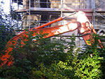 IMGP5476.jpg