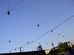 IMGP5490.jpg