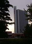 IMGP5510.jpg