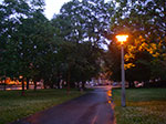 IMGP5539.jpg