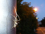IMGP5582.jpg