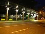 IMGP5611.jpg