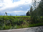 IMGP5617.jpg