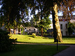 IMGP5627.jpg