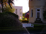IMGP5636.jpg