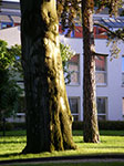 IMGP5638.jpg