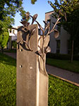 IMGP5642.jpg